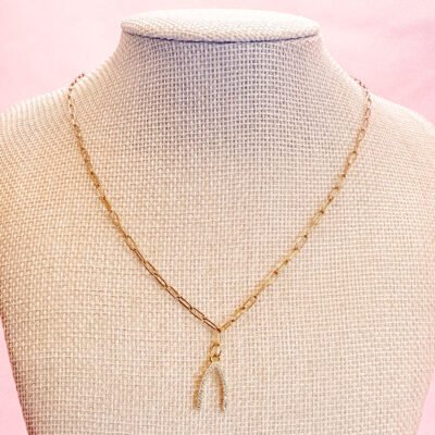 Make a Wish(bone) Necklace